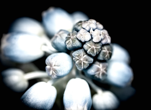 518912 (a): :2371x1728
